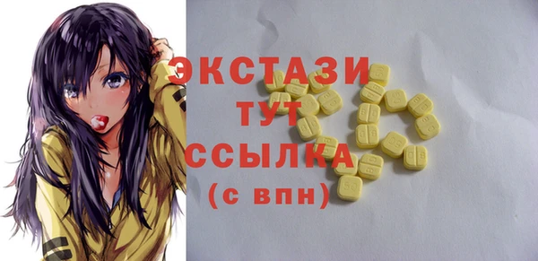spice Богородицк