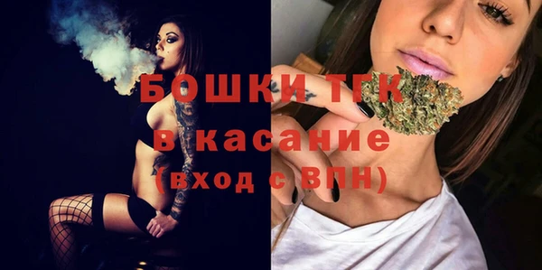 дживик Белокуриха