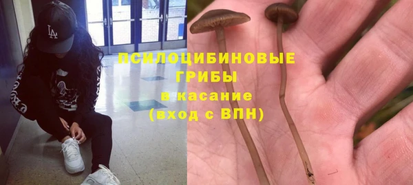 a pvp Беломорск