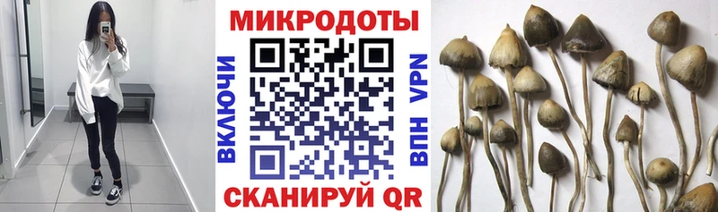 Галлюциногенные грибы Psilocybine cubensis  где найти наркотики  MEGA маркетплейс  shop какой сайт  Магас 